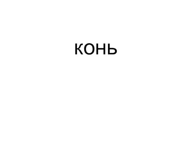 конь