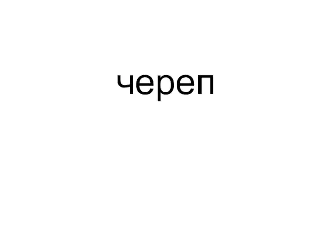 череп