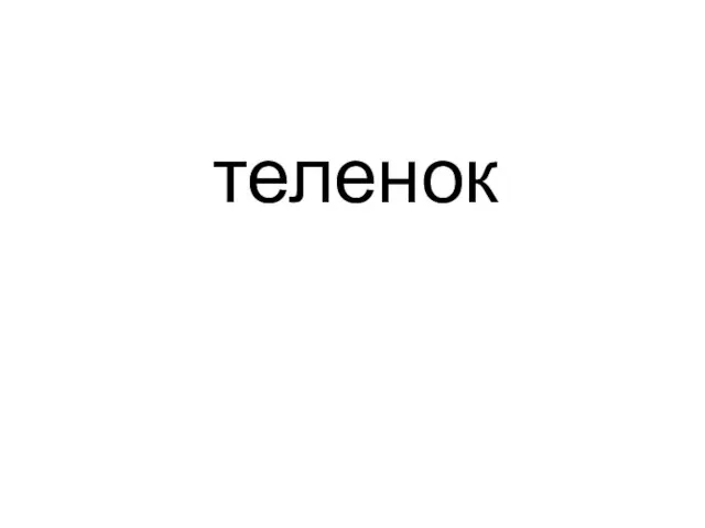 теленок