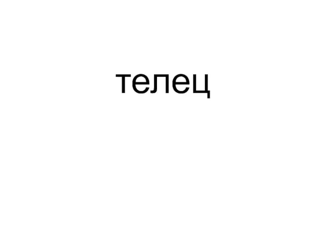 телец