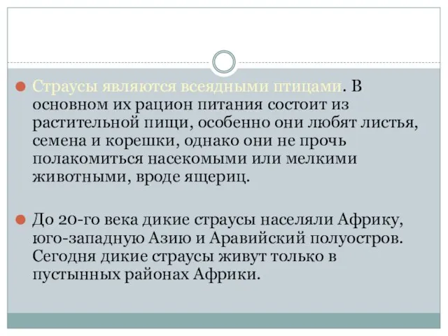 Страусы являются всеядными птицами. В основном их рацион питания состоит из