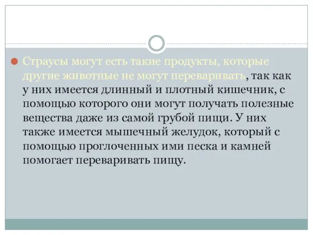 Страусы могут есть такие продукты, которые другие животные не могут переваривать,