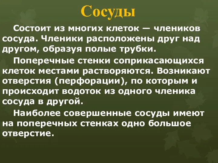 Сосуды Состоит из многих клеток — члеников сосуда. Членики расположены друг