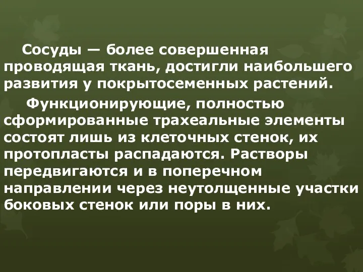 Сосуды — более совершенная проводящая ткань, достигли наибольшего развития у покрытосеменных