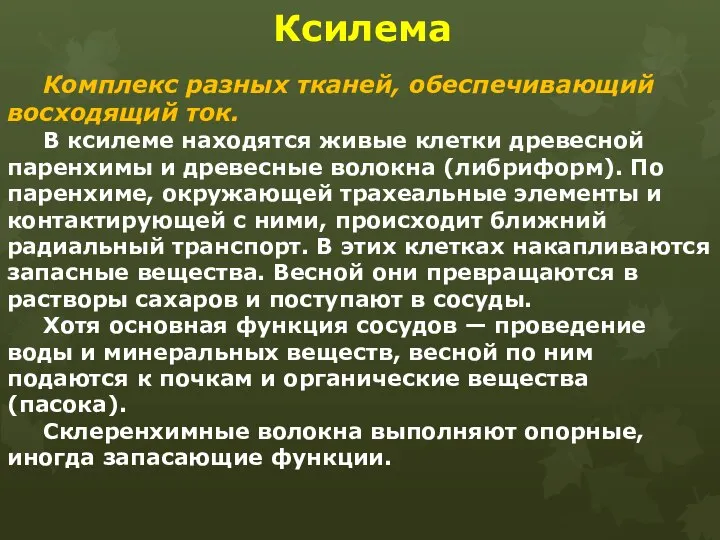 Ксилема Комплекс разных тканей, обеспечивающий восходящий ток. В ксилеме находятся живые