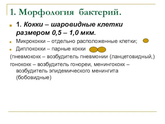 1. Морфология бактерий. 1. Кокки – шаровидные клетки размером 0,5 –