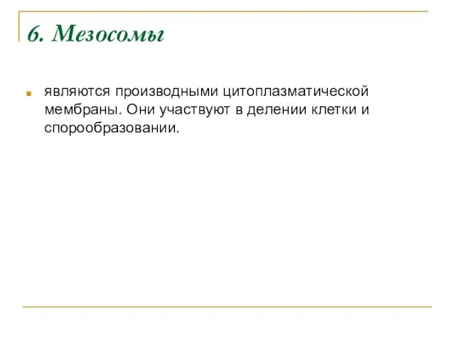 6. Мезосомы являются производными цитоплазматической мембраны. Они участвуют в делении клетки и спорообразовании.