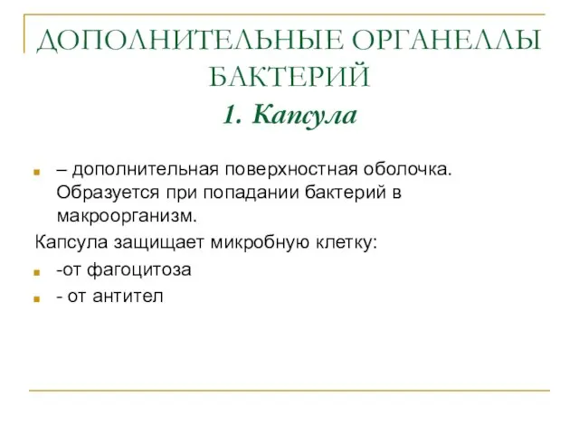 ДОПОЛНИТЕЛЬНЫЕ ОРГАНЕЛЛЫ БАКТЕРИЙ 1. Капсула – дополнительная поверхностная оболочка. Образуется при