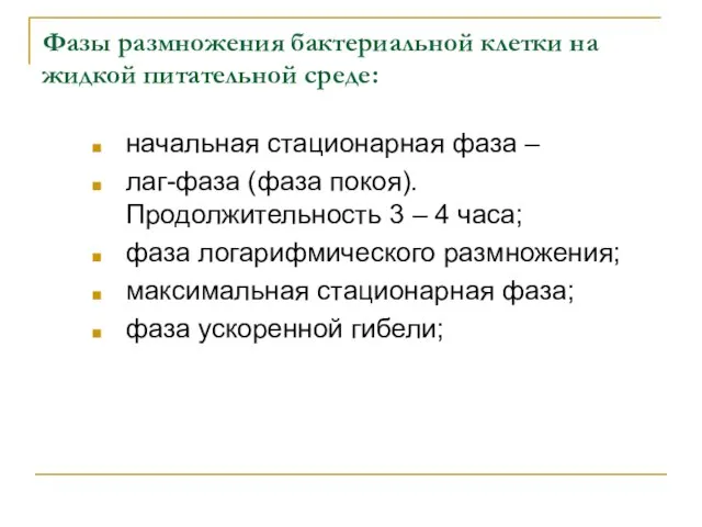 Фазы размножения бактериальной клетки на жидкой питательной среде: начальная стационарная фаза