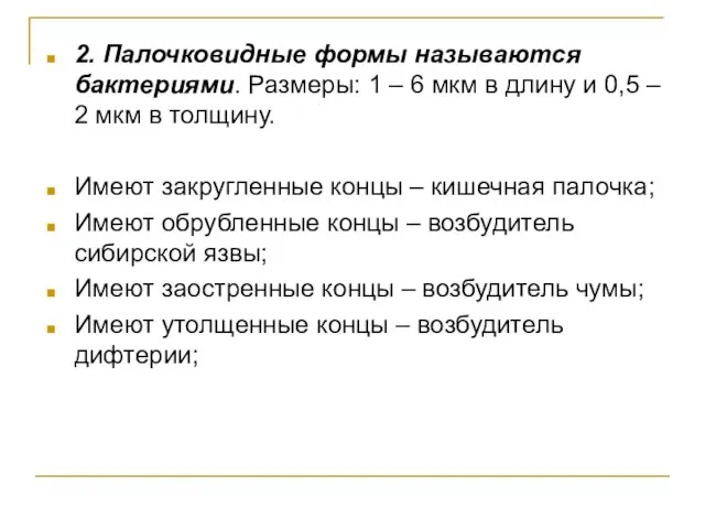 2. Палочковидные формы называются бактериями. Размеры: 1 – 6 мкм в