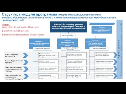 Структура модуля программы «Разработка актуальной повестки междисциплинарных исследований НИРС / НИР