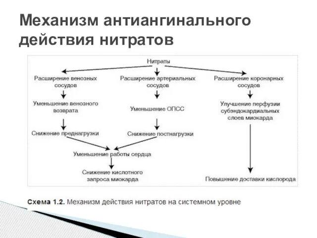 Механизм антиангинального действия нитратов