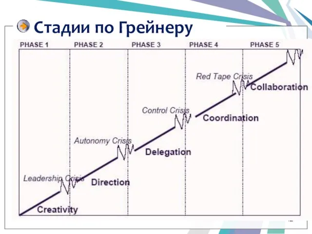 Стадии по Грейнеру