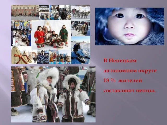 В Ненецком автономном округе 18 % жителей составляют ненцы.