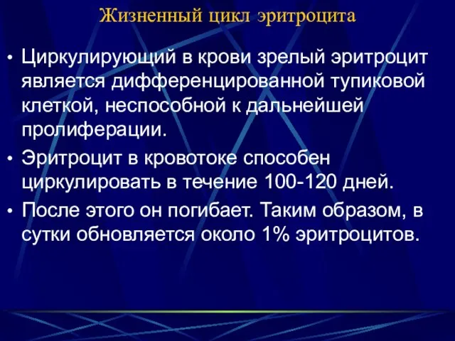 Жизненный цикл эритроцита Циркулирующий в крови зрелый эритроцит является дифференцированной тупиковой