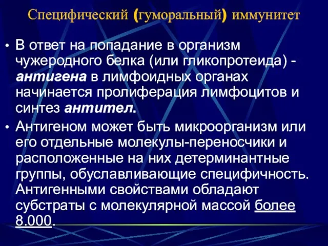 Специфический (гуморальный) иммунитет В ответ на попадание в организм чужеродного белка