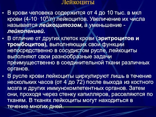 Лейкоциты В крови человека содержится от 4 до 10 тыс. в