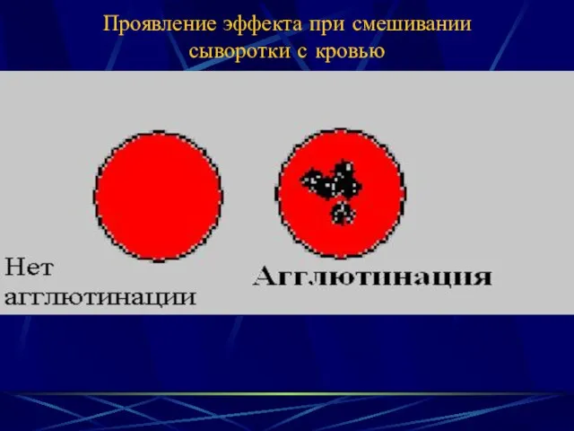 Проявление эффекта при смешивании сыворотки с кровью