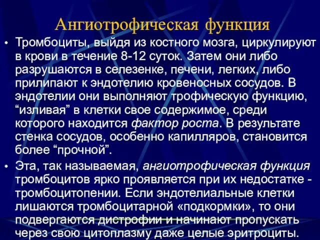 Ангиотрофическая функция Тромбоциты, выйдя из костного мозга, циркулируют в крови в