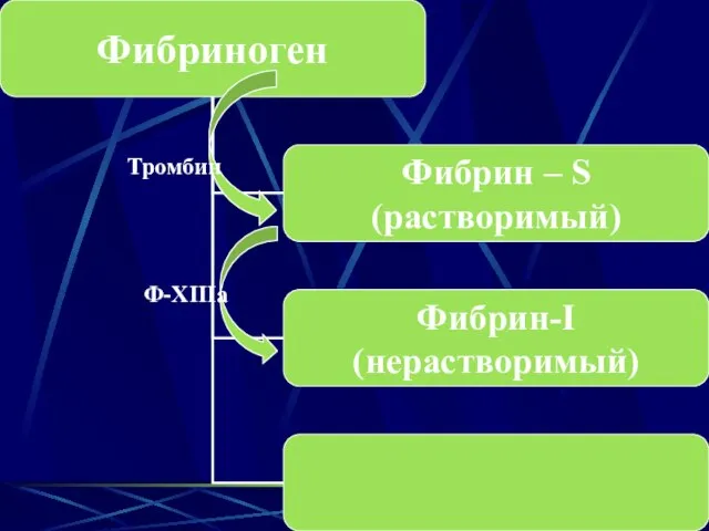 Тромбин Ф-XIIIa