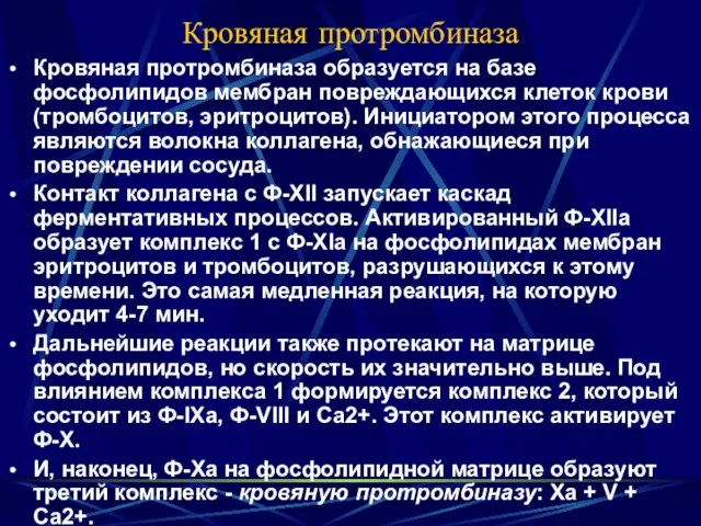 Кровяная протромбиназа Кровяная протромбиназа образуется на базе фосфолипидов мембран повреждающихся клеток