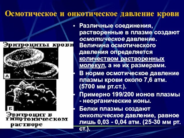 Осмотическое и онкотическое давление крови Различные соединения, растворенные в плазме создают