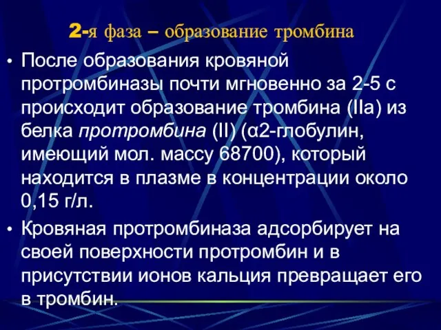 2-я фаза – образование тромбина После образования кровяной протромбиназы почти мгновенно