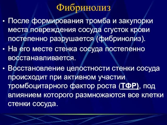 Фибринолиз После формирования тромба и закупорки места повреждения сосуда сгусток крови