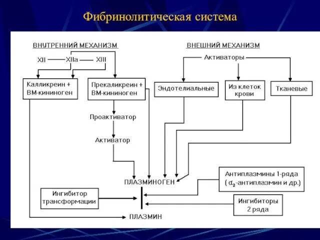 Фибринолитическая система