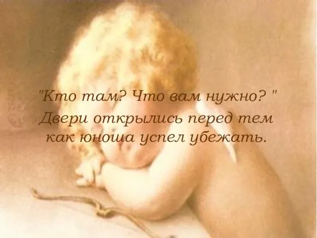 "Кто там? Что вам нужно? " Двери открылись перед тем как юноша успел убежать.