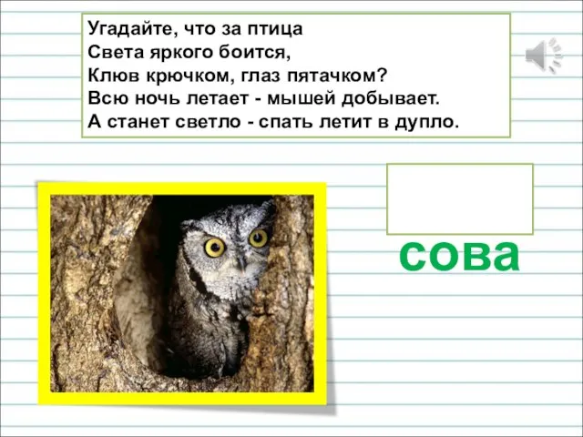 Угадайте, что за птица Света яркого боится, Клюв крючком, глаз пятачком?