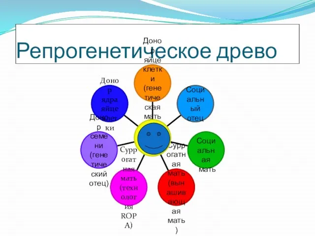 Репрогенетическое древо