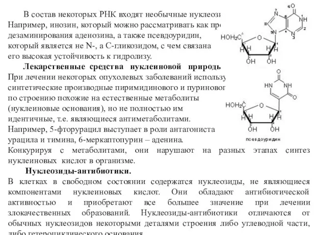 В состав некоторых РНК входят необычные нуклеозиды. Например, инозин, который можно