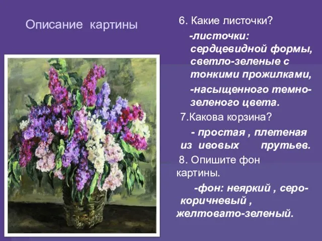 Описание картины 6. Какие листочки? -листочки: сердцевидной формы, светло-зеленые с тонкими