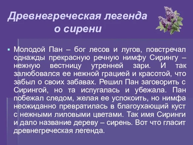 Древнегреческая легенда о сирени Молодой Пан – бог лесов и лугов,