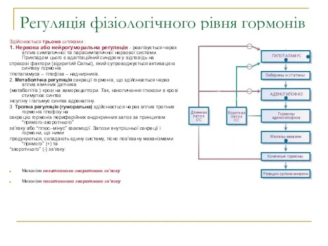 Регуляція фізіологічного рівня гормонів Здійснюється трьома шляхами : 1. Нервова або