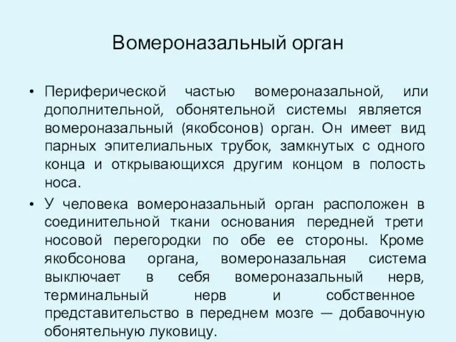 Вомероназальный орган Периферической частью вомероназальной, или дополнительной, обонятельной системы является вомероназальный