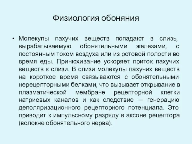 Физиология обоняния Молекулы пахучих веществ попадают в слизь, вырабатываемую обонятельными железами,