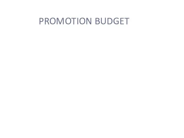 PROMOTION BUDGET