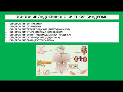 ОСНОВНЫЕ ЭНДОКРИНОЛОГИЧЕСКИЕ СИНДРОМЫ СИНДРОМ ГИПЕРГЛИКЕМИИ СИНДРОМ ГИПОГЛИКЕМИИ СИНДРОМ ГИПЕРТИРЕОИДИЗМА (ТИРЕОТОКСИКОЗ) СИНДРОМ