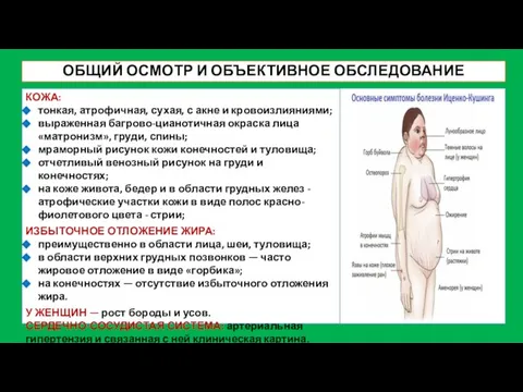 ОБЩИЙ ОСМОТР И ОБЪЕКТИВНОЕ ОБСЛЕДОВАНИЕ КОЖА: тонкая, атрофичная, сухая, с акне