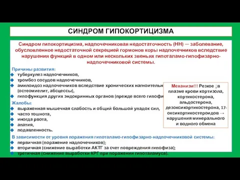 СИНДРОМ ГИПОКОРТИЦИЗМА Синдром гипокортицизма, надпочечниковая недостаточность (НН) — заболевание, обусловленное недостаточной