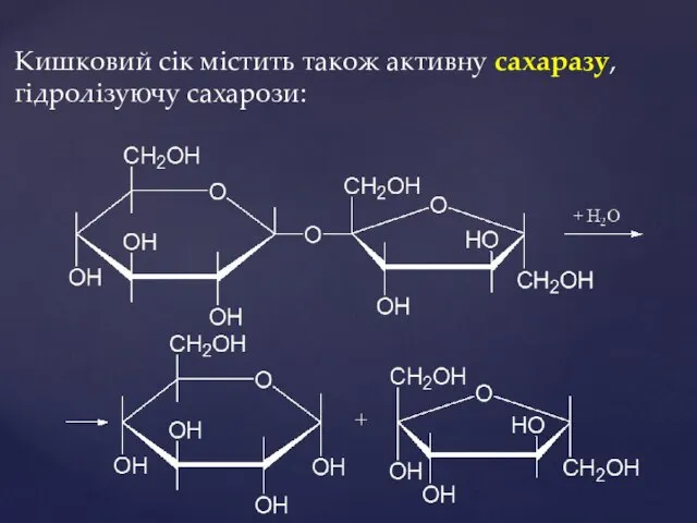 Кишковий сік містить також активну сахаразу, гідролізуючу сахарози: