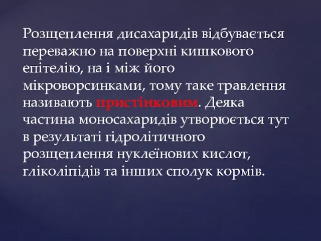 Розщеплення дисахаридів відбувається переважно на поверхні кишкового епітелію, на і між