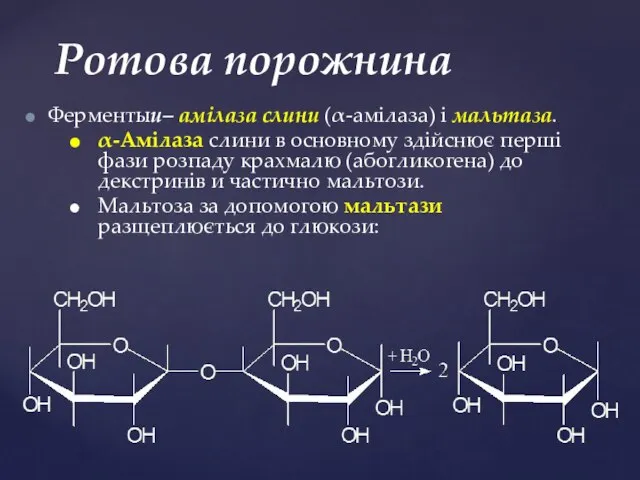 Ферментыи– амілаза слини (α-амілаза) і мальтаза. α-Амілаза слини в основному здійснює