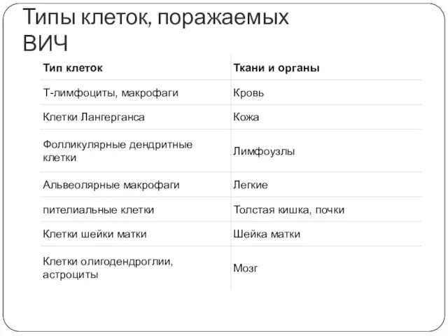 Типы клеток, поражаемых ВИЧ