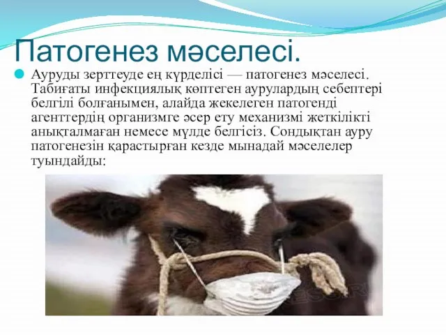 Патогенез мәселесі. Ауруды зерттеуде ең күрделісі — патогенез мәселесі. Табиғаты инфекциялық