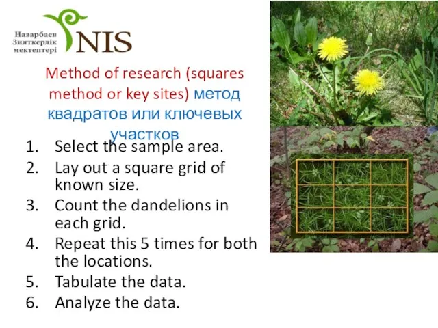 Method of research (squares method or key sites) метод квадратов или