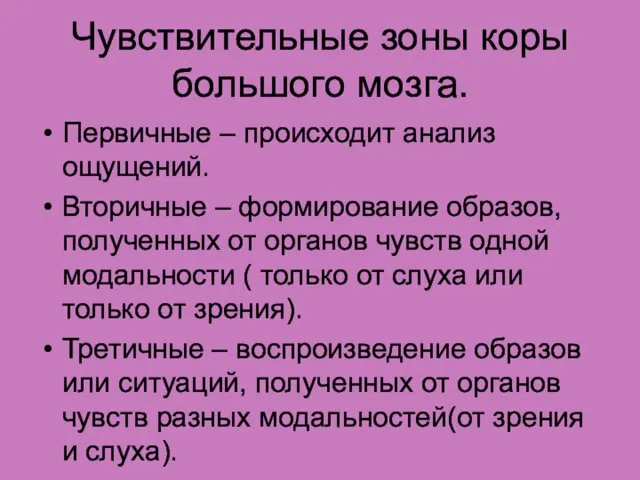 Чувствительные зоны коры большого мозга. Первичные – происходит анализ ощущений. Вторичные