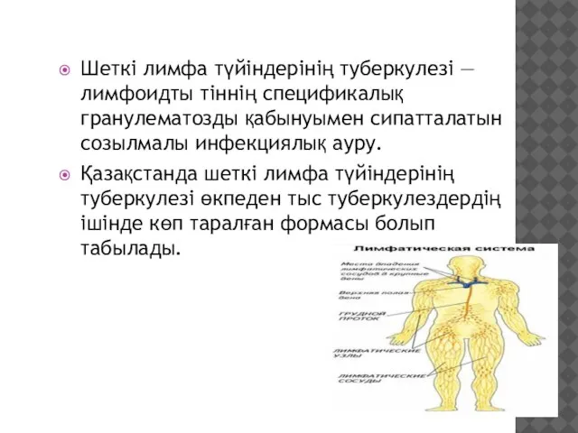 Шеткі лимфа түйіндерінің туберкулезі —лимфоидты тіннің спецификалық гранулематозды қабынуымен сипатталатын созылмалы